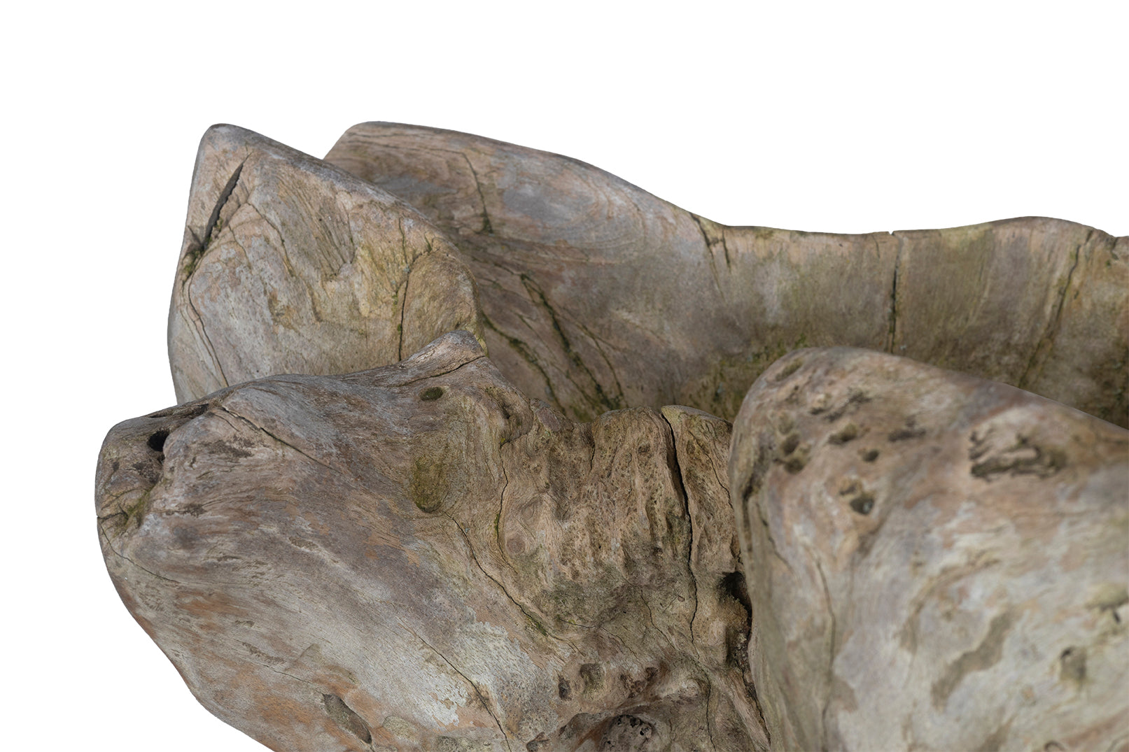 Organic Form Root Wood Bowl