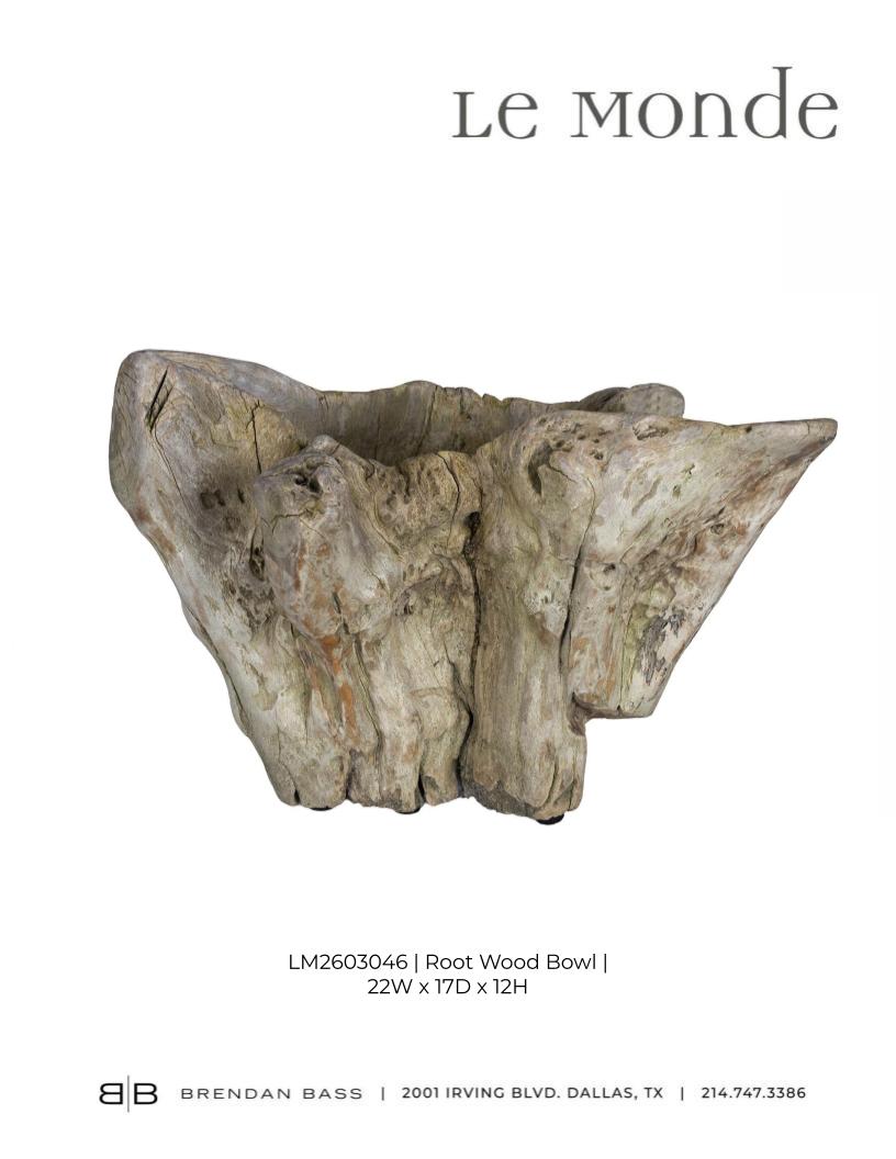 Organic Form Root Wood Bowl