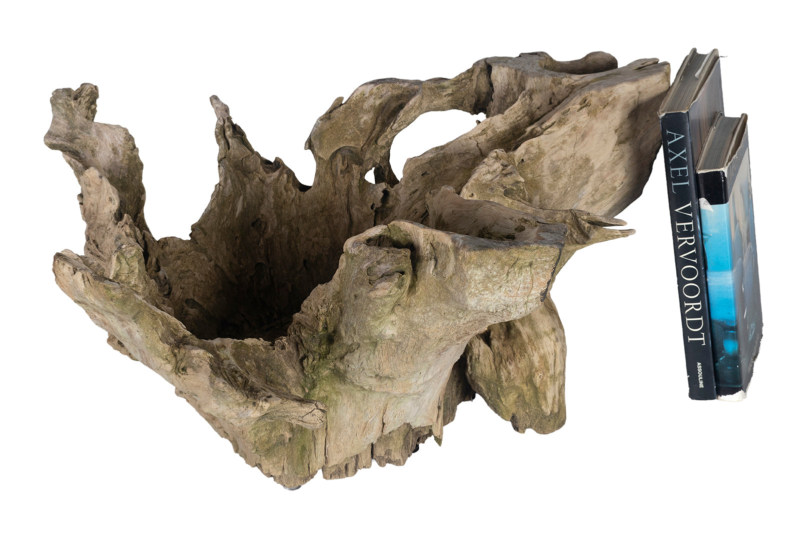 Organic Form Root Wood Bowl