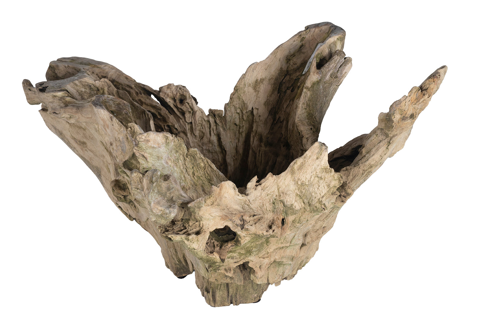 Organic Form Root Wood Bowl