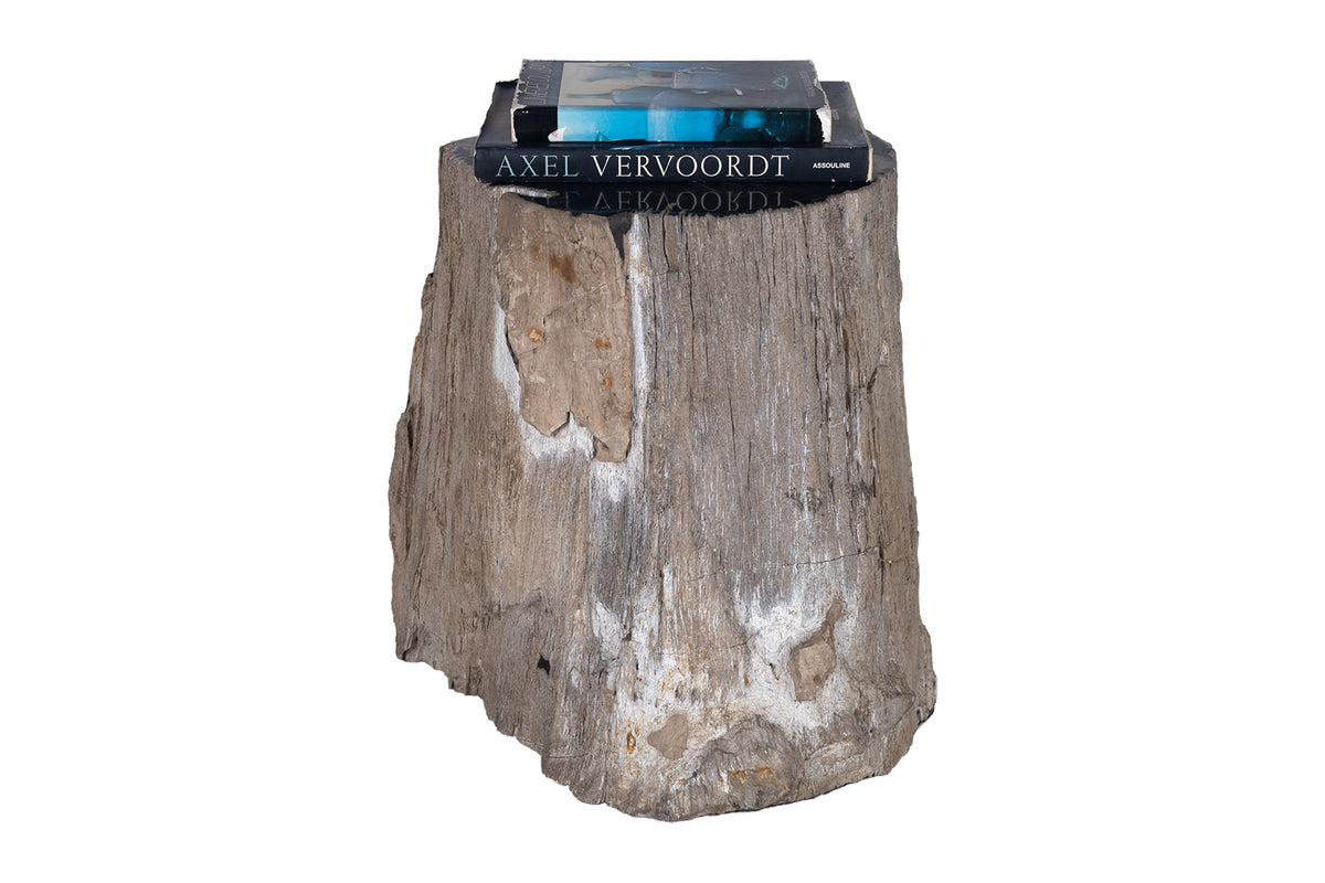 Petrified Wood Stump Side Table