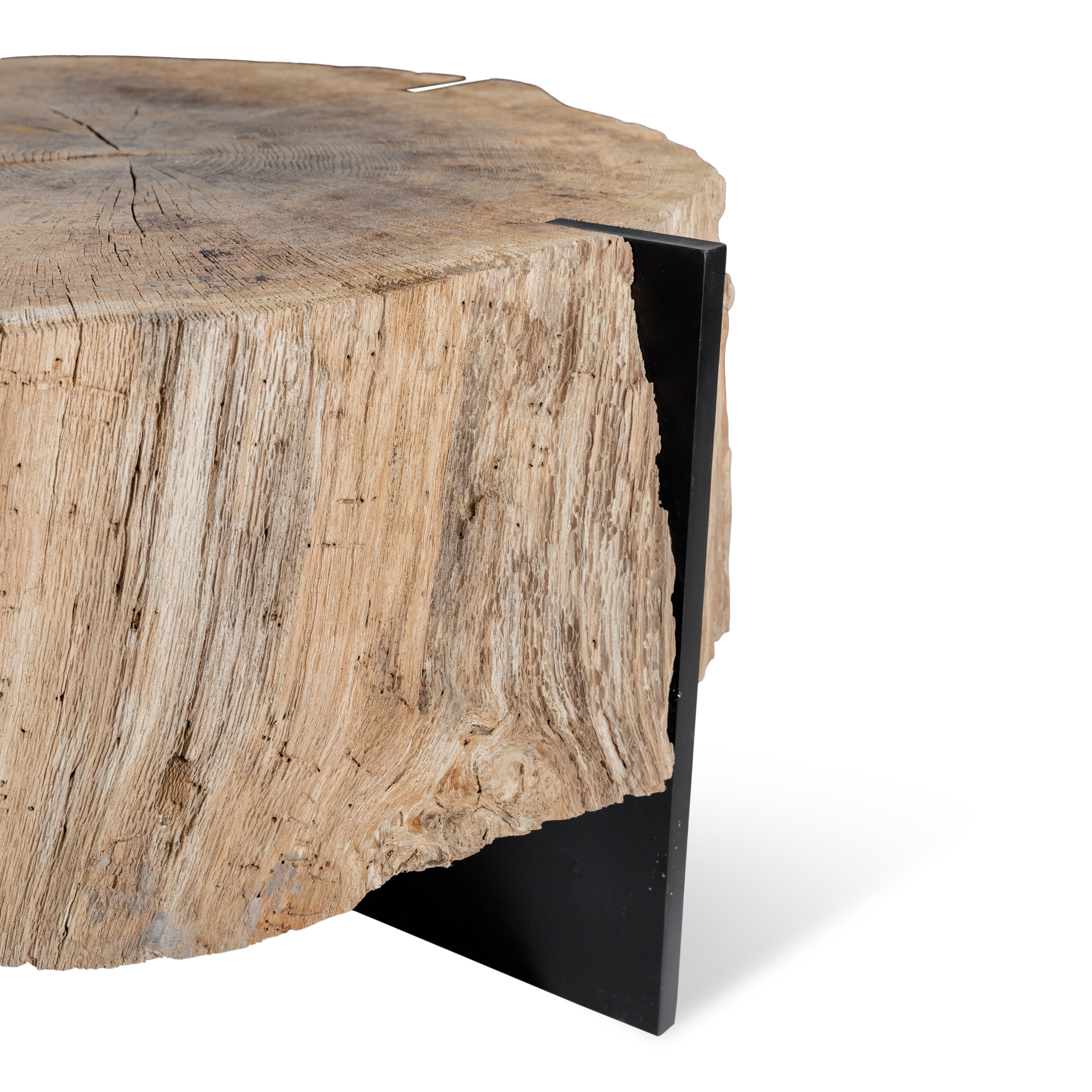 Organic Form Coffee Table from Medici Gardens