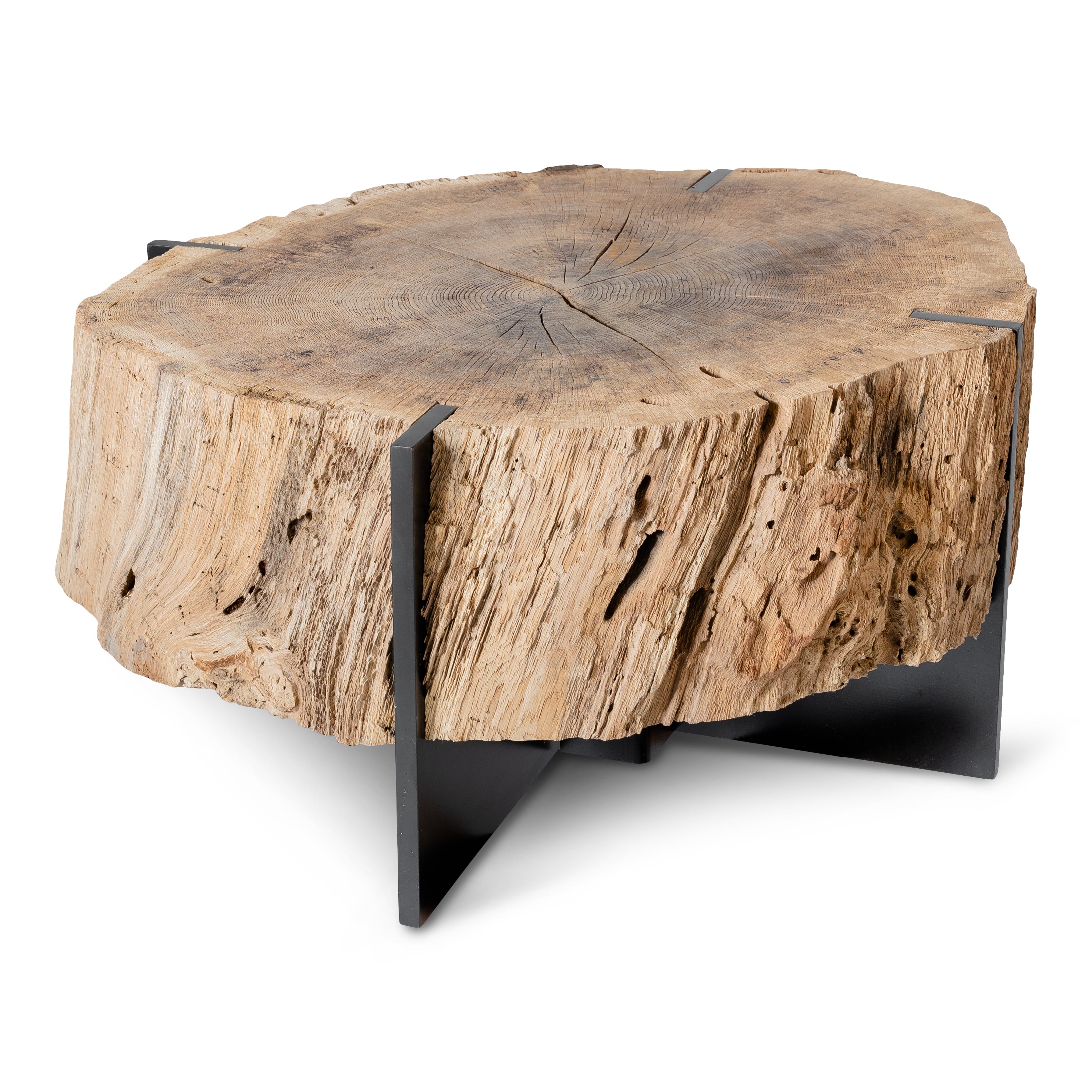Organic Form Coffee Table from Medici Gardens