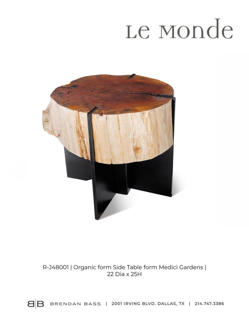 Organic Form Side Table form Medici Gardens
