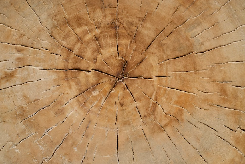 Bleached Round Side Table