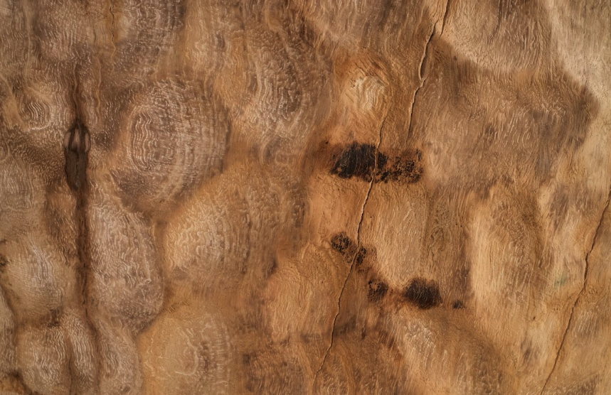 Bleached Lychee Wood Side Table