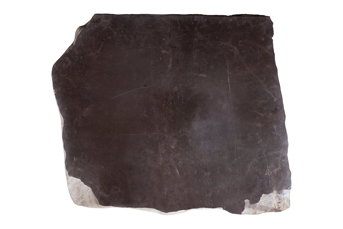 Polished Belgian Blue Stone Coffee Table on Modern Steel Base